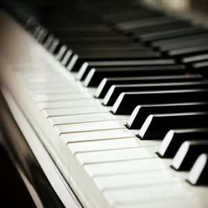 20厘米大头龟的图片
