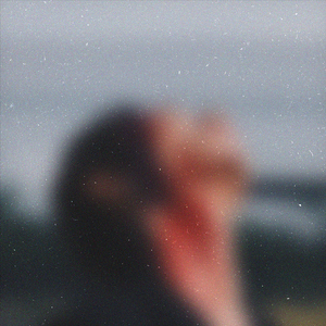 20厘米大头龟的图片
