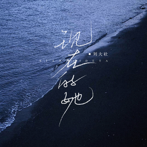 20厘米大头龟的图片
