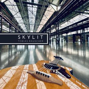 20厘米大头龟的图片
