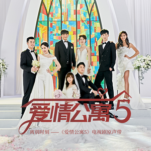 20厘米大头龟的图片
