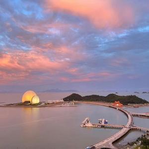 20厘米大头龟的图片
