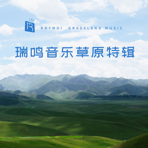 20厘米大头龟的图片
