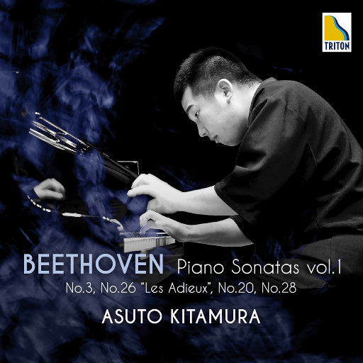 20厘米大头龟的图片
